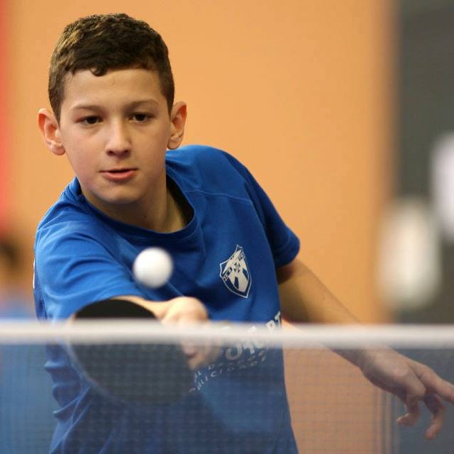 marco rodrigues